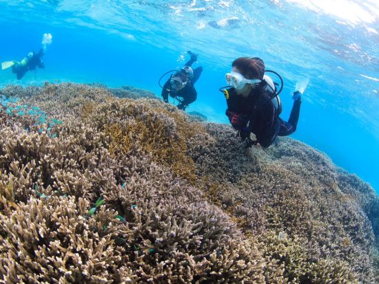 体験ダイビング【貸切】高画質Gopro13写真＆動画無料プレゼント！！＜ビーチ／1ダイブ／宮古島＞