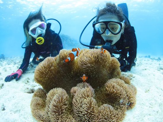 体験ダイビング【貸切】高画質Gopro13写真＆動画無料プレゼント！！＜ビーチ／1ダイブ／宮古島＞