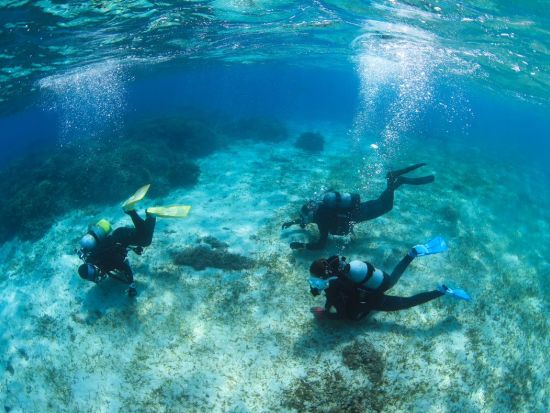 体験ダイビング【貸切】高画質Gopro13写真＆動画無料プレゼント！！＜ビーチ／1ダイブ／宮古島＞