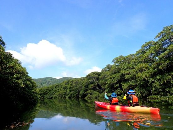 マイラ川マングローブカヌー＋鍾乳洞探検ツアー　西表島のジャングル遊びを大満喫！＜大原港または東部地区無料送迎／西表島＞