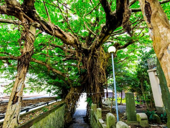 佐世保港⇔有川港 九州商船チケット 佐世保から五島列島・中通島（新上五島町）へ スマホ提示で受付らくらく！＜高速船／フェリー＞