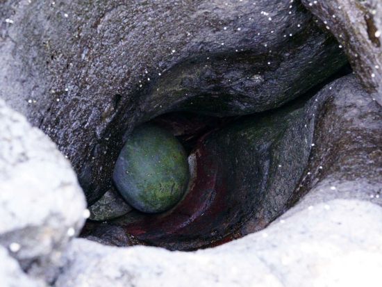 佐世保港⇔小値賀港 九州商船チケット 五島列島 小値賀島（おぢかじま）へ スマホ提示で受付らくらく！＜高速船／フェリー＞