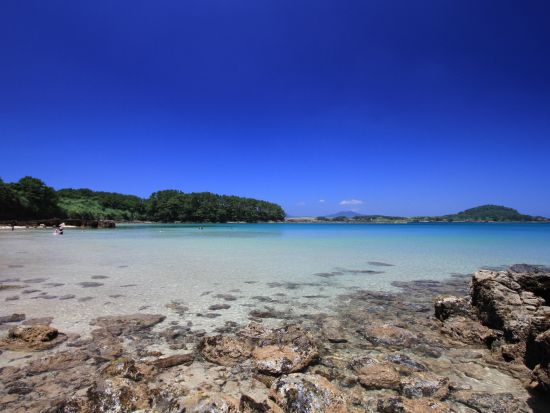 佐世保港⇔小値賀港 九州商船チケット 五島列島 小値賀島（おぢかじま）へ スマホ提示で受付らくらく！＜高速船／フェリー＞