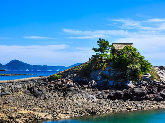 有川港⇔小値賀港 九州商船チケット 五島列島 小値賀島（おぢかじま）～中通島間の移動に　スマホ提示で受付らくらく！＜高速船＞