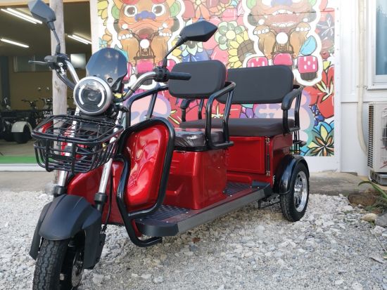 EVトライクレンタル　一人乗りから三人乗りまで 電動三輪バイクを運転して石垣島を観光しよう！ by EVOLRIDE