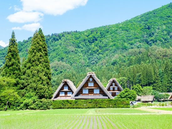 金沢港クルーズターミナル発着 貸切観光タクシー 白川郷・五箇山 2つの世界遺産を見学する日帰りツアー＜6時間／1～9名／選べる車種＞