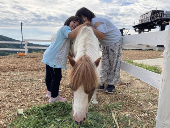 佐渡島 ポニーと散歩 乗馬体験 かわいいポニーとの触れ合いを楽しめる 3歳未満は無料 4 10月 1時間 By サードフィールドさど 佐渡島の観光 遊び 体験 レジャー専門予約サイト Veltra ベルトラ