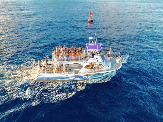 ホエールウォッチ　ハワイの伝統文化に触れるセレモニー「エ・ホ・マイ」やミニフラダンス鑑賞　軽食付き＜ワイキキ送迎可／12/1～3/31＞