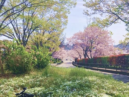 電動アシスト付き e-bikeで旧街道をゆく姫路城下町めぐりサイクリング＜午前・午後／3時間／姫路＞ 
