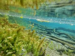 pixta_69191817_M