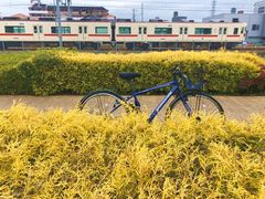 飾磨街道 (10)
