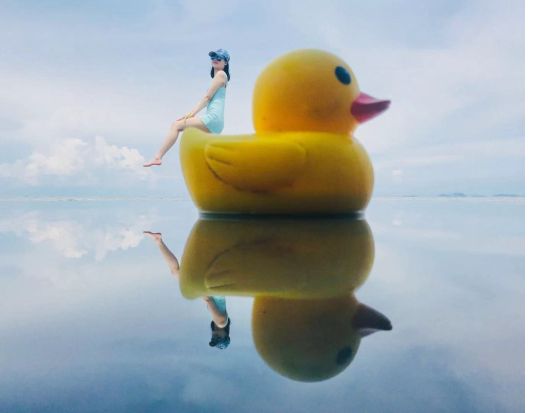 スカイミラー観光半日ツアー　SNSで話題の絶景スポットへご案内！マッサージ付きプランあり＜午前／昼食付き／クアラルンプール発＞