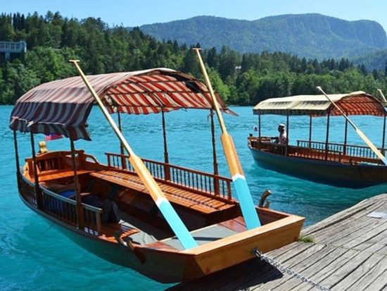 「アルプスの瞳」ブレッド湖周辺観光 プライベートツアー＜貸切／英語または日本語／リュブリャナ発＞