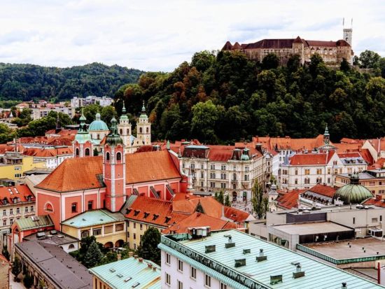 リュブリャナ市内半日観光 プライベートツアー＜貸切／英語または日本語／リュブリャナ発＞