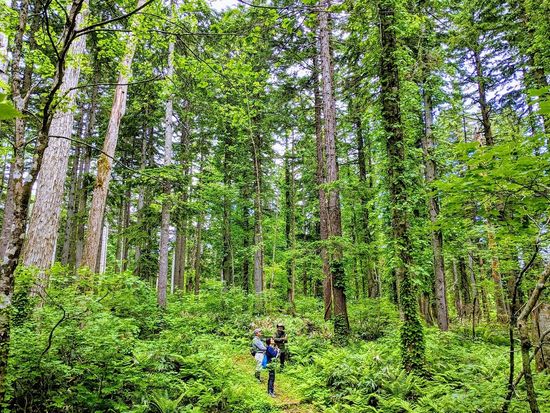 IMG_20200615_104343小