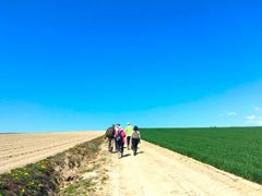 footpath