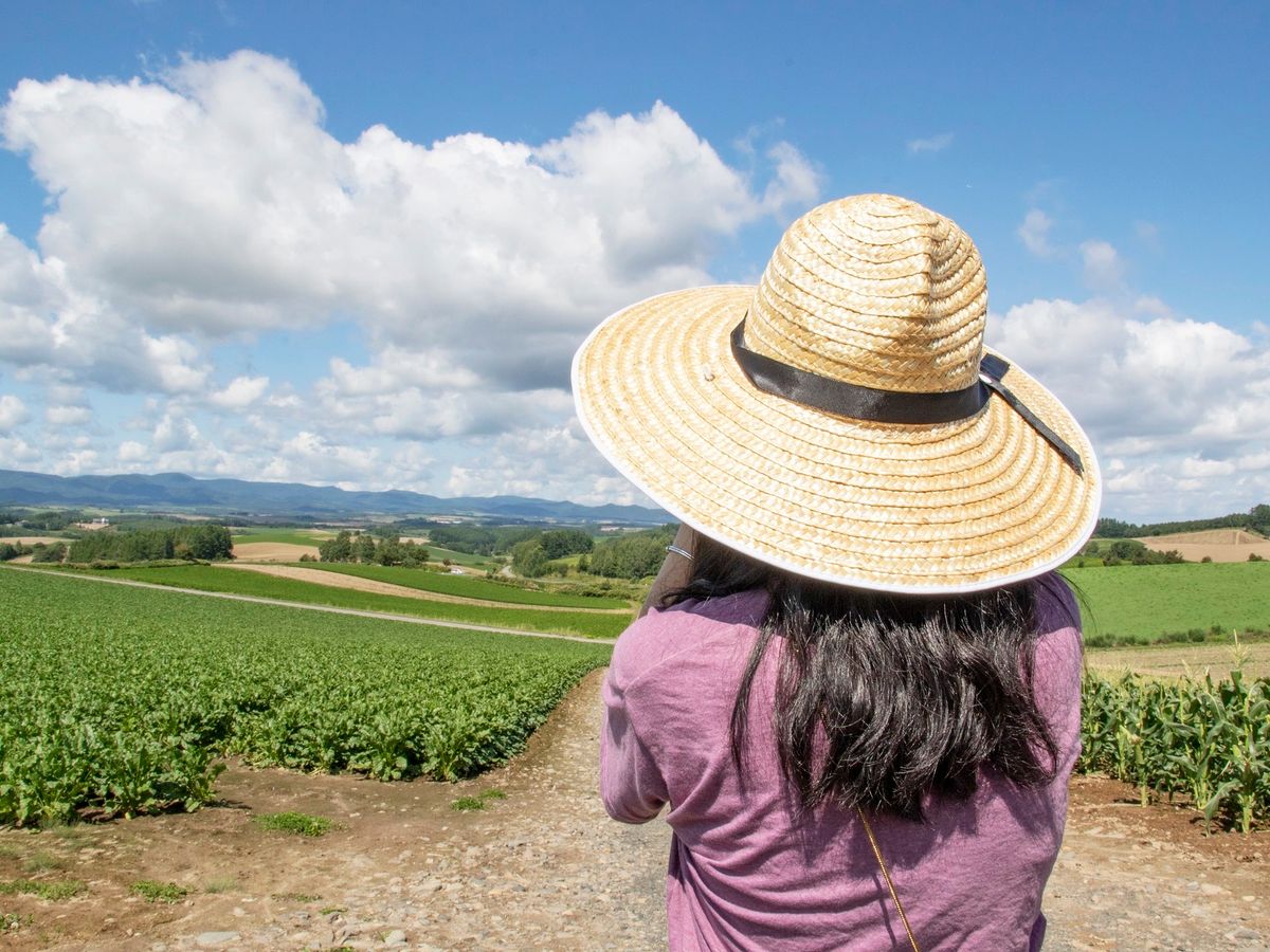 美瑛パッチワークの丘 散策「畑 DE フットパス」特別な許可をもらって