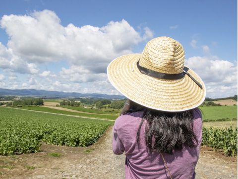 美瑛パッチワークの丘 散策「畑 DE フットパス」特別な許可をもらって美瑛の丘へ ！＜6～9月／1名から催行／美瑛町＞