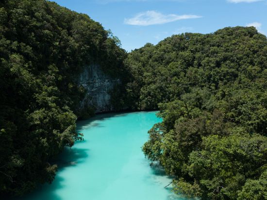 ジェリーフィッシュレイク＆ミルキーウェイ　シーカヤックとシュノーケル体験つきの1日ツアー＜昼食／送迎付き＞by IMPAC TOURS