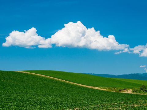 美瑛 パッチワークの丘ウォーキングツアー 十勝岳連峰の山々、広大な牧草地、木立の間を歩く爽やかさは格別！＜1名様から催行／4～11月／美瑛町＞