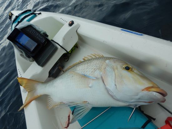 【経験者向け】カヤックフィッシング　屋久島公認ガイド 田脇さんがご案内　釣具レンタル可能 ＜8:00または13:00／約3.5時間＞ byショアーズ