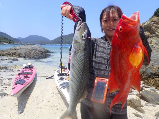 【経験者向け】カヤックフィッシング　屋久島公認ガイド 田脇さんがご案内　釣具レンタル可能 ＜8:00または13:00／約3.5時間＞ byショアーズ
