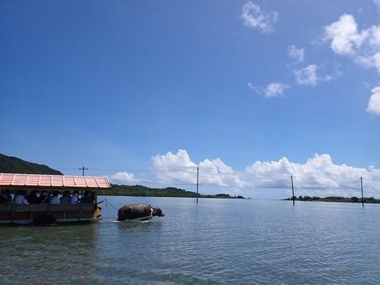 P7140021