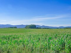pixta_70331883_M