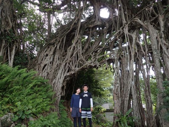 島内観光周遊ツアー　屋久島公認 田脇ガイドがご案内！西部林道やクリスタル岬など自由にコースをアレンジ ＜島内全域送迎可能＞by ショアーズ