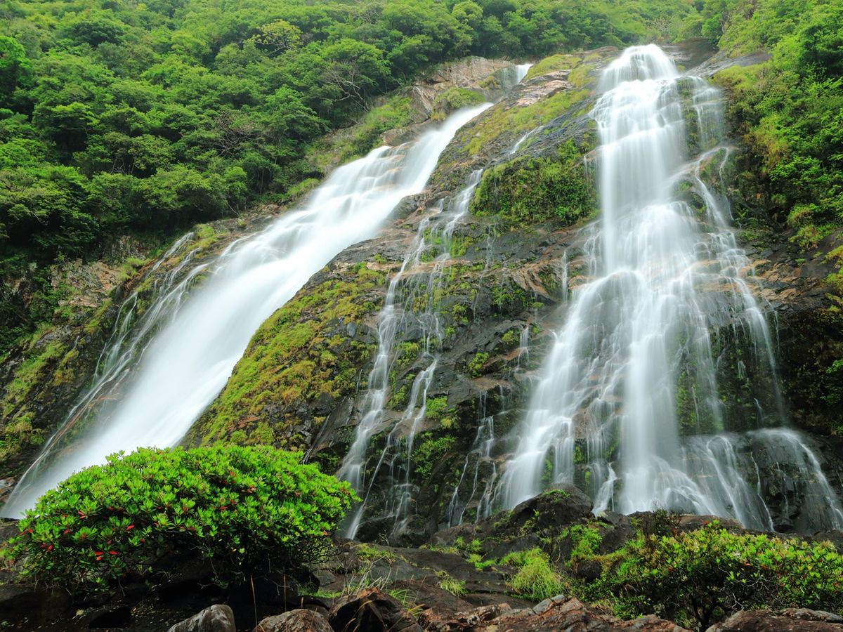 島内観光 | 屋久島 旅行の観光・オプショナルツアー予約 VELTRA