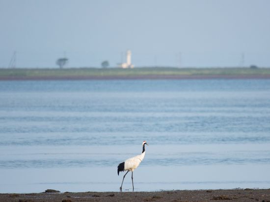 Nemuro_Onnetou_pixta_32215966_M