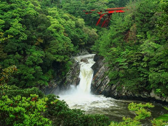 Japan_Yakushima_Torokinotaki_pixta_22058138_XL