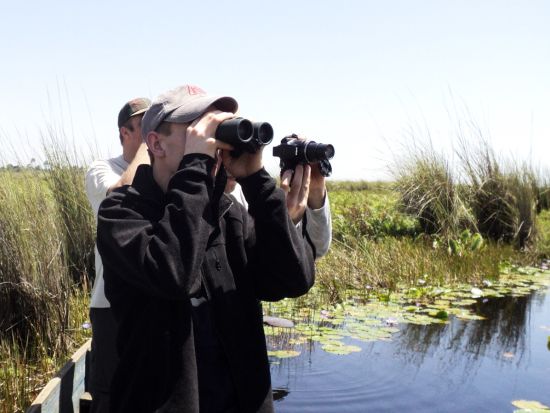 愛鳥家に人気の野鳥王国「ウガンダ」でバードウォッチング＆サファリ体験ツアー＜英語＋日本語ガイド／4泊5日／エンテベ国際空港発着＞