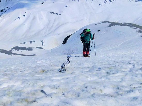 ライチョウ撮影