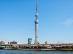 Japan_Tokyo_Skytree_Sumida River_Cherry Blossom_shutterstock_198380606