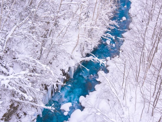 美瑛スノーシューツアー ～白樺の森と青い川～雪に覆われた森の中を歩き、美しいブルーリバーを目指す！＜12月下旬～3月／美瑛町＞by 丘のまちびえいDMO