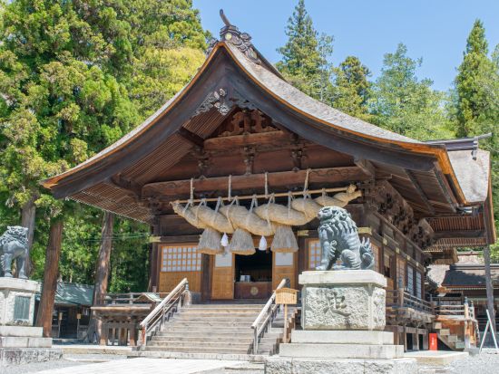 諏訪大社四社めぐり！長野屈指のパワースポット諏訪大社を貸切タクシーで巡る旅＜3時間／貸切／諏訪市発＞