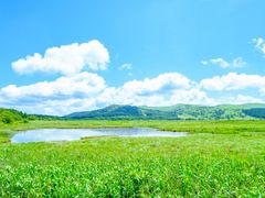 pixta_76387139_M