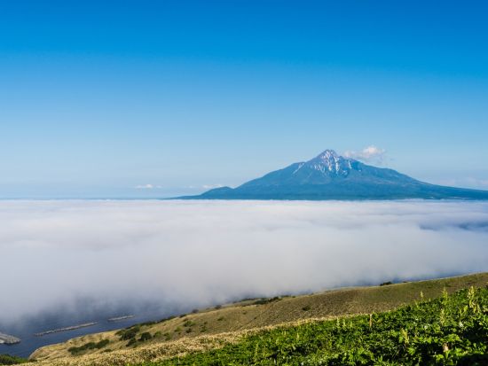 利尻島発トレッキングツアー　礼文島花＆景色を満喫できる桃岩･知床コースを楽しむ＜6～9月／利尻島発＞by利尻島・ガイドツアー