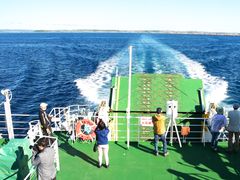 pixta_17099020_M