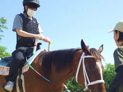 乗馬体験2
