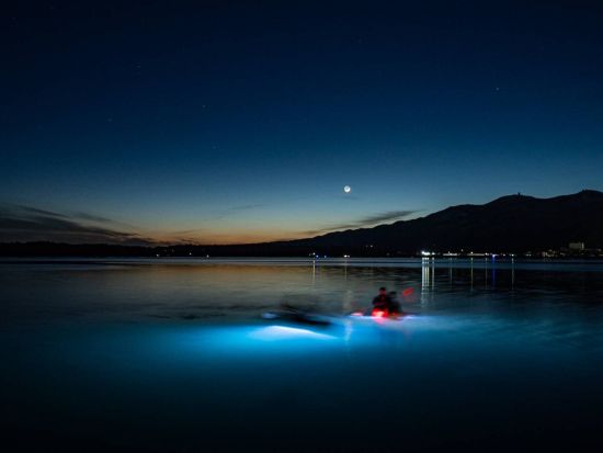 佐渡島 加茂湖　ナイトカヤック体験　船底ライトアップで日本百景の加茂湖の幻想的な景色を楽しむ！＜4～10月＞by サードフィールドさど
