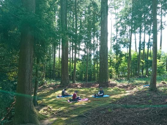 森林セラピー 伊藤セラピスト06