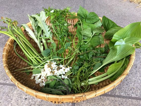 77e25b79-49c3-4c4f-bd6b-7cf9b7c4