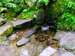 pixta_68946172_M