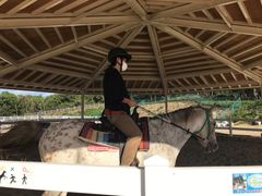 グレイ乗馬