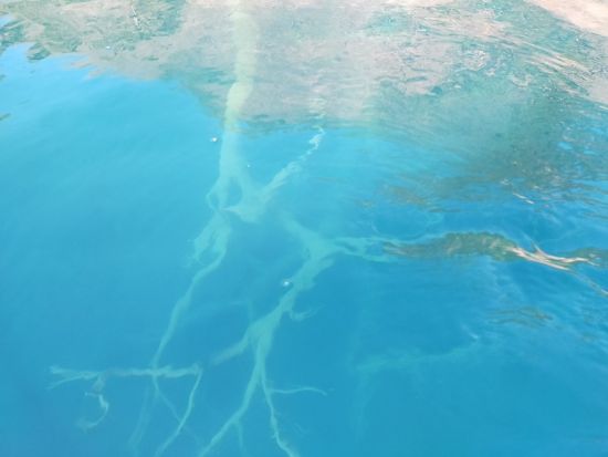 本栖湖(もとすこ)カヤック体験　「本栖ブルー」と称される青く美しい湖の湖上散策＜3歳から参加可／2時間／富士河口湖町＞