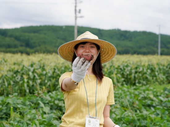 じゃがいも収穫体験　じゃがいも掘り＆じゃがバターの軽食付き＜8～9月／じゃがいも1袋詰め放題／1名から催行／美瑛町＞
