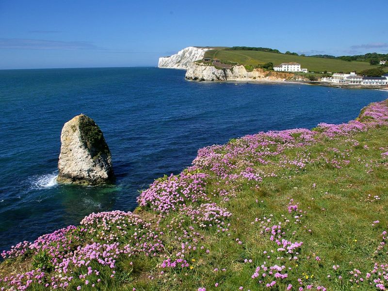Isle Of Wight Cliffs 
