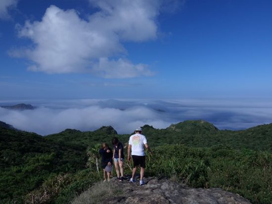 父島トレッキングツアー　小笠原に詳しいガイドと一緒に亜熱帯の森を満喫！選べる3コース＜午前・午後／現地集合・送迎可／伊豆小笠原・父島発＞by ボニンブルーシマ